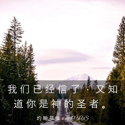Picture 03 - 约 翰 福 音 6:69 CUVS - 我 们 已 经 信 了 ， 又 知 道 你 是 - Bible Verse Picture