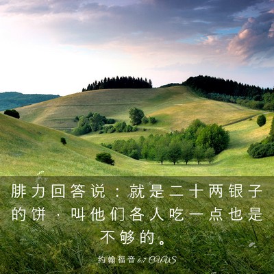 Picture 03 - 约 翰 福 音 6:7 CUVS - 腓 力 回 答 说 ： 就 是 二 十 两 银 - Bible Verse Picture