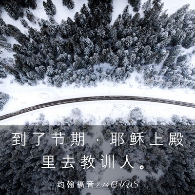 Picture 03 - 约 翰 福 音 7:14 CUVS - 到 了 节 期 ， 耶 稣 上 殿 里 去 教 - Bible Verse Picture