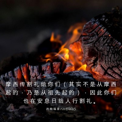 Picture 03 - 约 翰 福 音 7:22 CUVS - 摩 西 传 割 礼 给 你 们 （ 其 实 不 - Bible Verse Picture