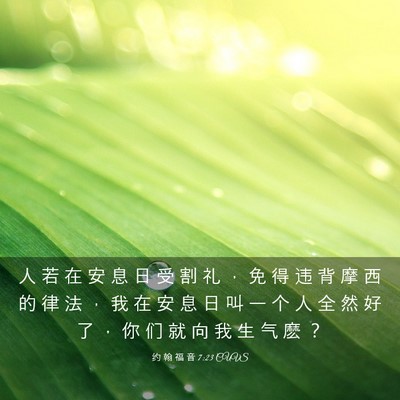 Picture 03 - 约 翰 福 音 7:23 CUVS - 人 若 在 安 息 日 受 割 礼 ， 免 得 - Bible Verse Picture