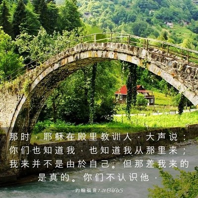 Picture 03 - 约 翰 福 音 7:28 CUVS - 那 时 ， 耶 稣 在 殿 里 教 训 人 ， - Bible Verse Picture
