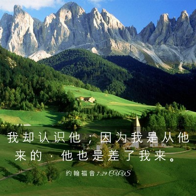 Picture 03 - 约 翰 福 音 7:29 CUVS - 我 却 认 识 他 ； 因 为 我 是 从 他 - Bible Verse Picture