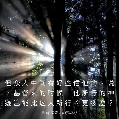 Picture 03 - 约 翰 福 音 7:31 CUVS - 但 众 人 中 间 有 好 些 信 他 的 ， - Bible Verse Picture