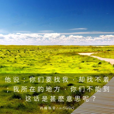 Picture 03 - 约 翰 福 音 7:36 CUVS - 他 说 ： 你 们 要 找 我 ， 却 找 不 - Bible Verse Picture