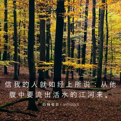Picture 03 - 约 翰 福 音 7:38 CUVS - 信 我 的 人 就 如 经 上 所 说 ： 从 - Bible Verse Picture