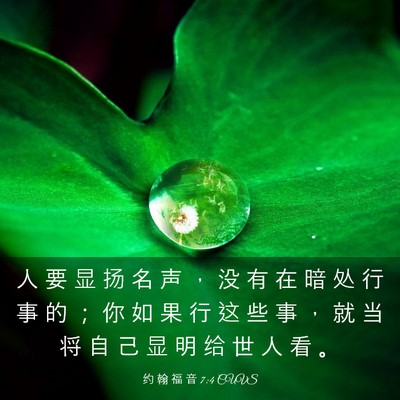 Picture 03 - 约 翰 福 音 7:4 CUVS - 人 要 显 扬 名 声 ， 没 有 在 暗 处 - Bible Verse Picture