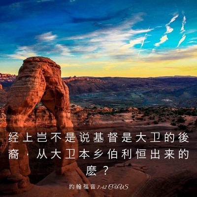 Picture 03 - 约 翰 福 音 7:42 CUVS - 经 上 岂 不 是 说 基 督 是 大 卫 的 - Bible Verse Picture