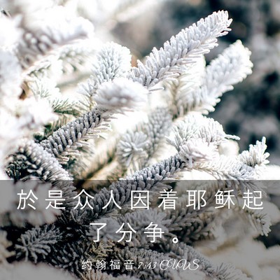 Picture 03 - 约 翰 福 音 7:43 CUVS - 於 是 众 人 因 着 耶 稣 起 了 分 争 - Bible Verse Picture