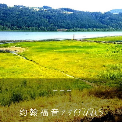Picture 03 - 约 翰 福 音 7:5 CUVS -  - Bible Verse Picture