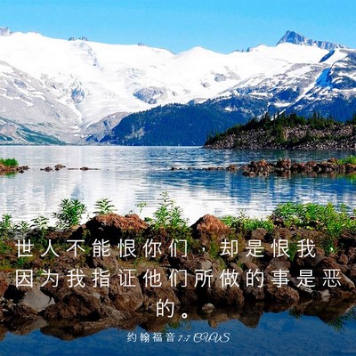 Picture 03 - 约 翰 福 音 7:7 CUVS - 世 人 不 能 恨 你 们 ， 却 是 恨 我 - Bible Verse Picture