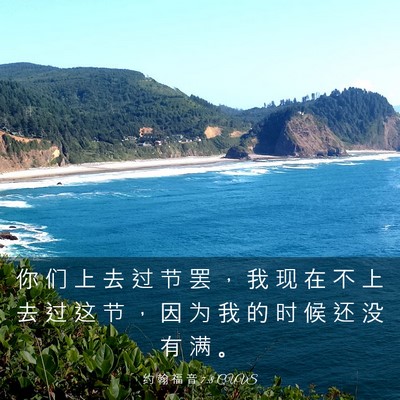 Picture 03 - 约 翰 福 音 7:8 CUVS - 你 们 上 去 过 节 罢 ， 我 现 在 不 - Bible Verse Picture