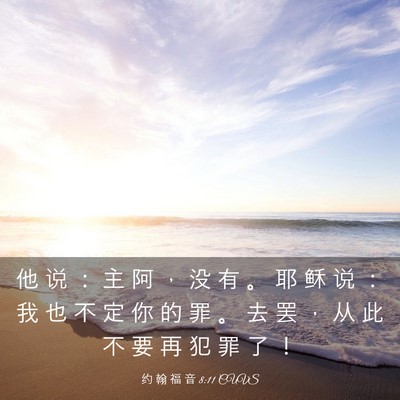 Picture 03 - 约 翰 福 音 8:11 CUVS - 他 说 ： 主 阿 ， 没 有 。 耶 稣 说 - Bible Verse Picture