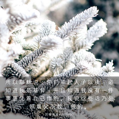 Picture 03 - 约 翰 福 音 8:28 CUVS - 所 以 耶 稣 说 ： 你 们 举 起 人 子 - Bible Verse Picture
