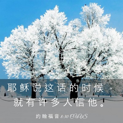 Picture 03 - 约 翰 福 音 8:30 CUVS - 耶 稣 说 这 话 的 时 候 ， 就 有 许 - Bible Verse Picture