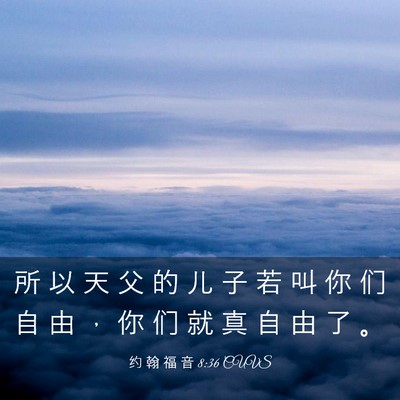 Picture 03 - 约 翰 福 音 8:36 CUVS - 所 以 天 父 的 儿 子 若 叫 你 们 自 - Bible Verse Picture