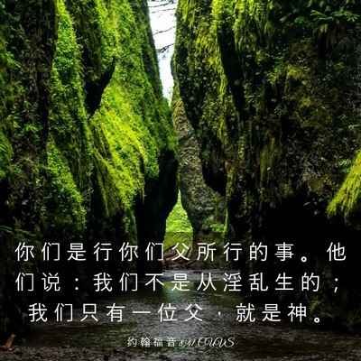 Picture 03 - 约 翰 福 音 8:41 CUVS - 你 们 是 行 你 们 父 所 行 的 事 。 - Bible Verse Picture