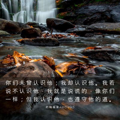 Picture 03 - 约 翰 福 音 8:55 CUVS - 你 们 未 曾 认 识 他 ； 我 却 认 识 - Bible Verse Picture