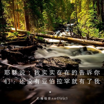 Picture 03 - 约 翰 福 音 8:58 CUVS - 耶 稣 说 ： 我 实 实 在 在 的 告 诉 - Bible Verse Picture