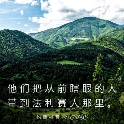 Picture 03 - 约 翰 福 音 9:13 CUVS - 他 们 把 从 前 瞎 眼 的 人 带 到 法 - Bible Verse Picture