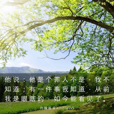 Picture 03 - 约 翰 福 音 9:25 CUVS - 他 说 ： 他 是 个 罪 人 不 是 ， 我 - Bible Verse Picture