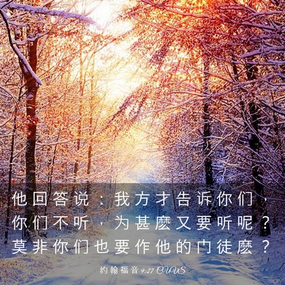 Picture 03 - 约 翰 福 音 9:27 CUVS - 他 回 答 说 ： 我 方 才 告 诉 你 们 - Bible Verse Picture