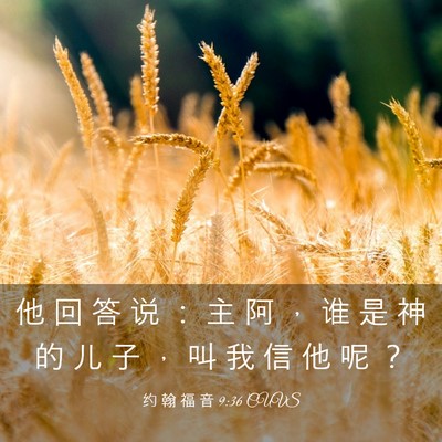 Picture 03 - 约 翰 福 音 9:36 CUVS - 他 回 答 说 ： 主 阿 ， 谁 是 神 的 - Bible Verse Picture