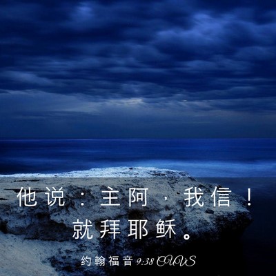 Picture 03 - 约 翰 福 音 9:38 CUVS - 他 说 ： 主 阿 ， 我 信 ！ 就 拜 耶 - Bible Verse Picture