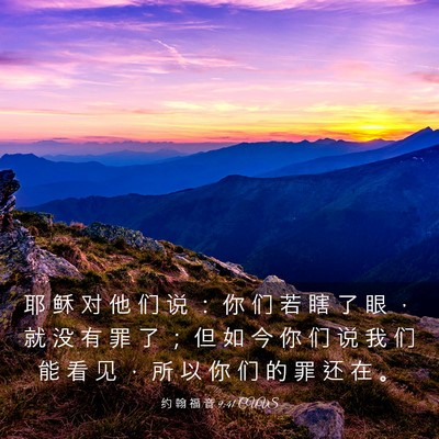 Picture 03 - 约 翰 福 音 9:41 CUVS - 耶 稣 对 他 们 说 ： 你 们 若 瞎 了 - Bible Verse Picture