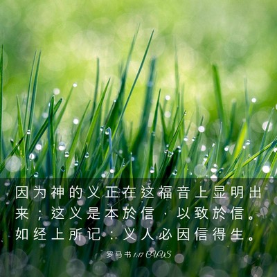 Picture 03 - 罗 马 书 1:17 CUVS - 因 为 神 的 义 正 在 这 福 音 上 显 - Bible Verse Picture