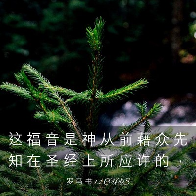 Picture 03 - 罗 马 书 1:2 CUVS - 这 福 音 是 神 从 前 藉 众 先 知 在 - Bible Verse Picture