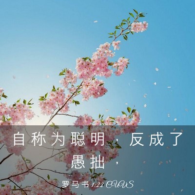 Picture 03 - 罗 马 书 1:22 CUVS - 自 称 为 聪 明 ， 反 成 了 愚 拙 - Bible Verse Picture