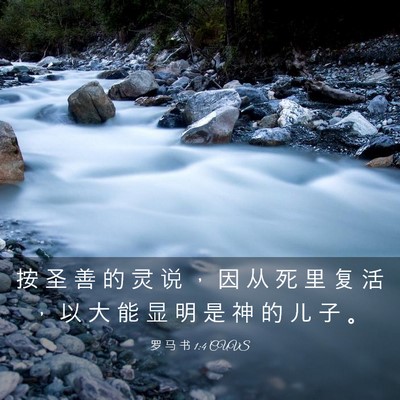 Picture 03 - 罗 马 书 1:4 CUVS - 按 圣 善 的 灵 说 ， 因 从 死 里 复 - Bible Verse Picture