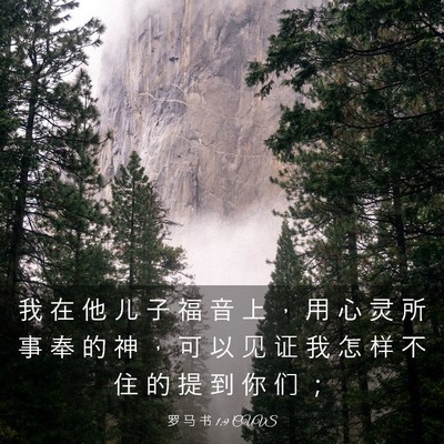 Picture 03 - 罗 马 书 1:9 CUVS - 我 在 他 儿 子 福 音 上 ， 用 心 灵 - Bible Verse Picture
