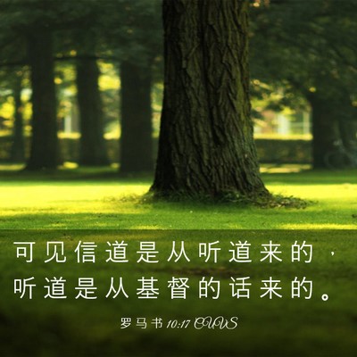Picture 03 - 罗 马 书 10:17 CUVS - 可 见 信 道 是 从 听 道 来 的 ， 听 - Bible Verse Picture