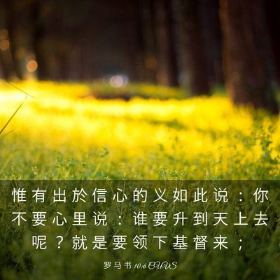 Picture 03 - 罗 马 书 10:6 CUVS - 惟 有 出 於 信 心 的 义 如 此 说 ： - Bible Verse Picture
