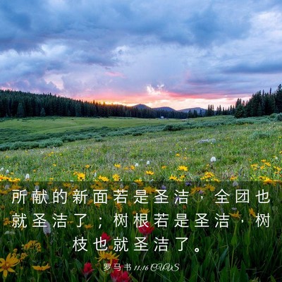 Picture 03 - 罗 马 书 11:16 CUVS - 所 献 的 新 面 若 是 圣 洁 ， 全 团 - Bible Verse Picture