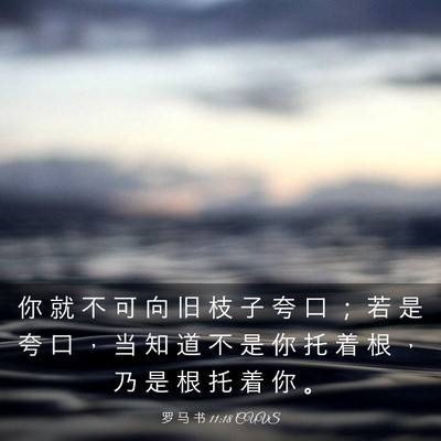 Picture 03 - 罗 马 书 11:18 CUVS - 你 就 不 可 向 旧 枝 子 夸 口 ； 若 - Bible Verse Picture