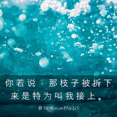 Picture 03 - 罗 马 书 11:19 CUVS - 你 若 说 ， 那 枝 子 被 折 下 来 是 - Bible Verse Picture