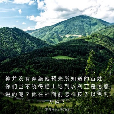 Picture 03 - 罗 马 书 11:2 CUVS - 神 并 没 有 弃 绝 他 预 先 所 知 道 - Bible Verse Picture