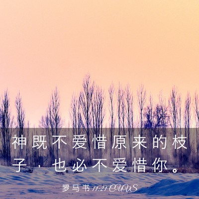 Picture 03 - 罗 马 书 11:21 CUVS - 神 既 不 爱 惜 原 来 的 枝 子 ， 也 - Bible Verse Picture
