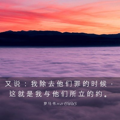Picture 03 - 罗 马 书 11:27 CUVS - 又 说 ： 我 除 去 他 们 罪 的 时 候 - Bible Verse Picture