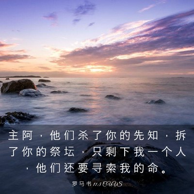 Picture 03 - 罗 马 书 11:3 CUVS - 主 阿 ， 他 们 杀 了 你 的 先 知 ， - Bible Verse Picture