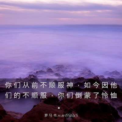 Picture 03 - 罗 马 书 11:30 CUVS - 你 们 从 前 不 顺 服 神 ， 如 今 因 - Bible Verse Picture