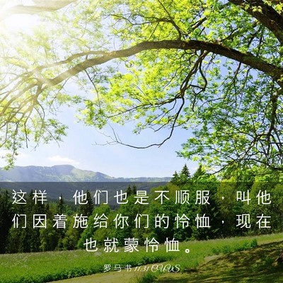 Picture 03 - 罗 马 书 11:31 CUVS - 这 样 ， 他 们 也 是 不 顺 服 ， 叫 - Bible Verse Picture