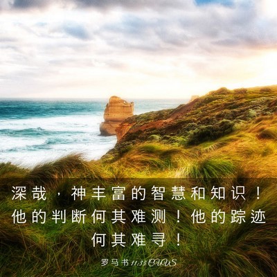 Picture 03 - 罗 马 书 11:33 CUVS - 深 哉 ， 神 丰 富 的 智 慧 和 知 识 - Bible Verse Picture