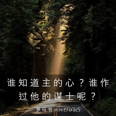 Picture 03 - 罗 马 书 11:34 CUVS - 谁 知 道 主 的 心 ？ 谁 作 过 他 的 - Bible Verse Picture