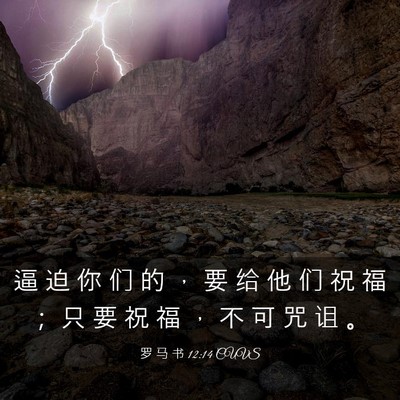 Picture 03 - 罗 马 书 12:14 CUVS - 逼 迫 你 们 的 ， 要 给 他 们 祝 福 - Bible Verse Picture