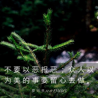 Picture 03 - 罗 马 书 12:17 CUVS - 不 要 以 恶 报 恶 ； 众 人 以 为 美 - Bible Verse Picture
