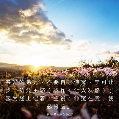 Picture 03 - 罗 马 书 12:19 CUVS - 亲 爱 的 弟 兄 ， 不 要 自 己 伸 冤 - Bible Verse Picture